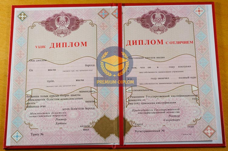 Специалист 2009-2025 с отличием (Казахстан) - фото